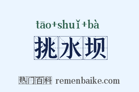 挑水坝是什么意思的图片